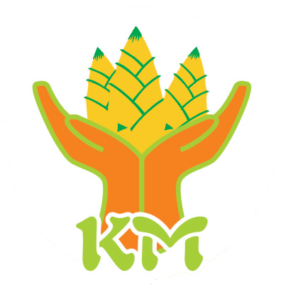 Trường mầm non Kids and Mimi - Ngọc Thụy