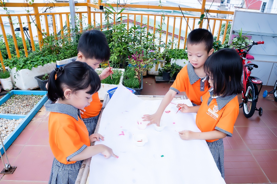 Chương trình giáo dục