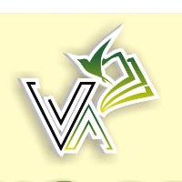 Trường Mầm Non Vàng Anh - Tân Nghĩa