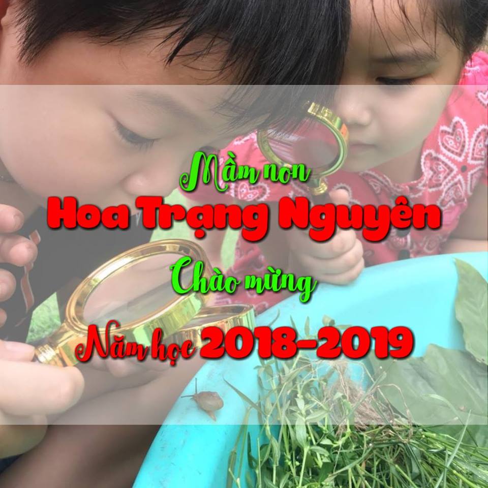 Trường mầm non Hoa Trạng Nguyên - KDT Văn Quán