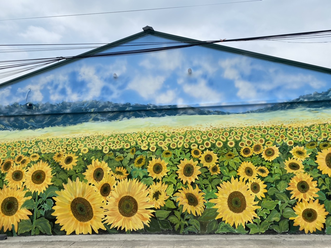 Slide 8950c2ca-79d6-4ab0-91b5-6841bc141b11