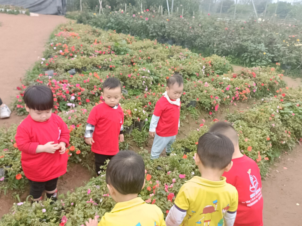 Slide f487a9b2-7182-4ba7-bd26-f6f6674859ad