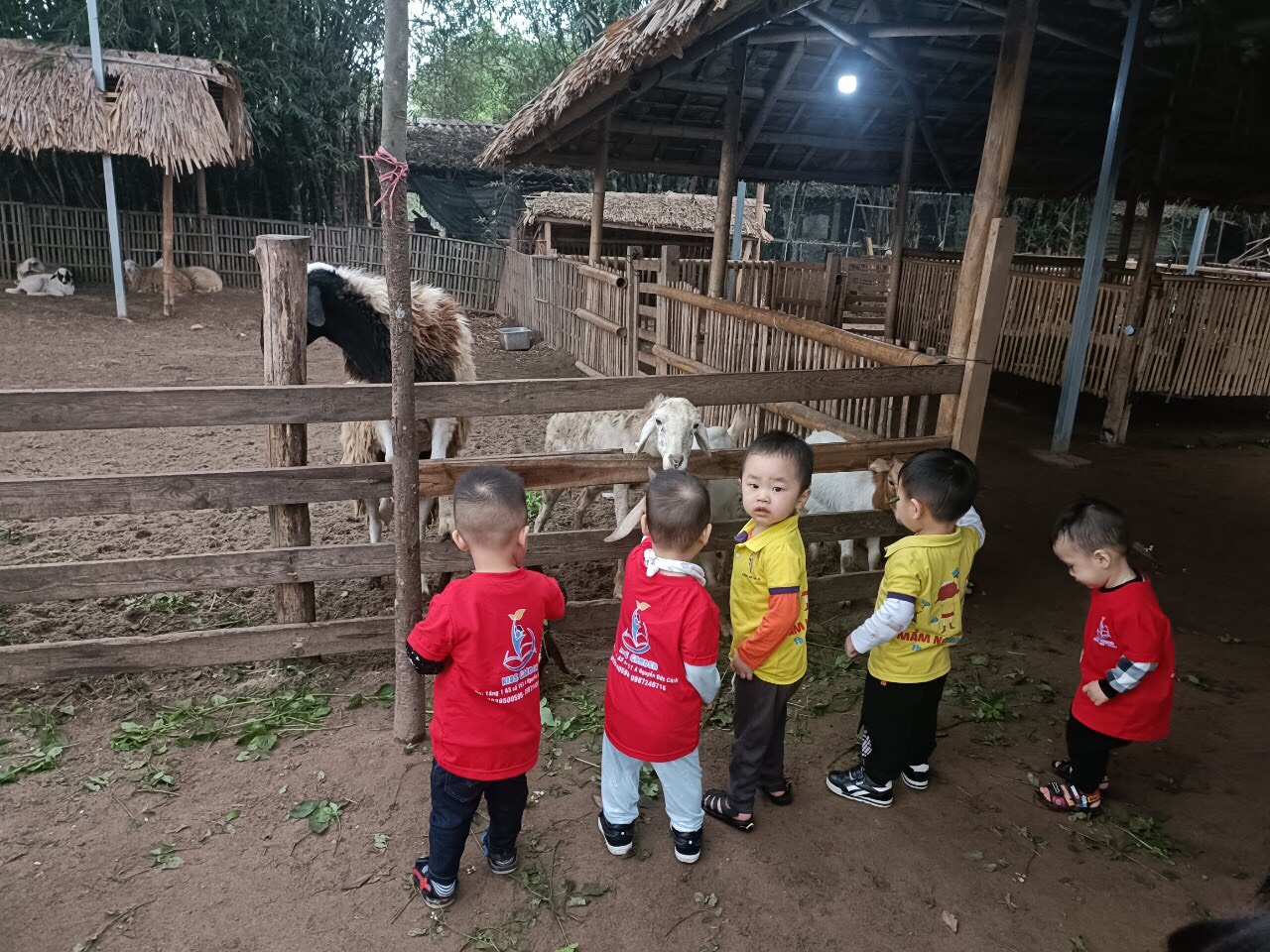 Slide 75f1102e-d010-4923-85ee-3a3316dc5831