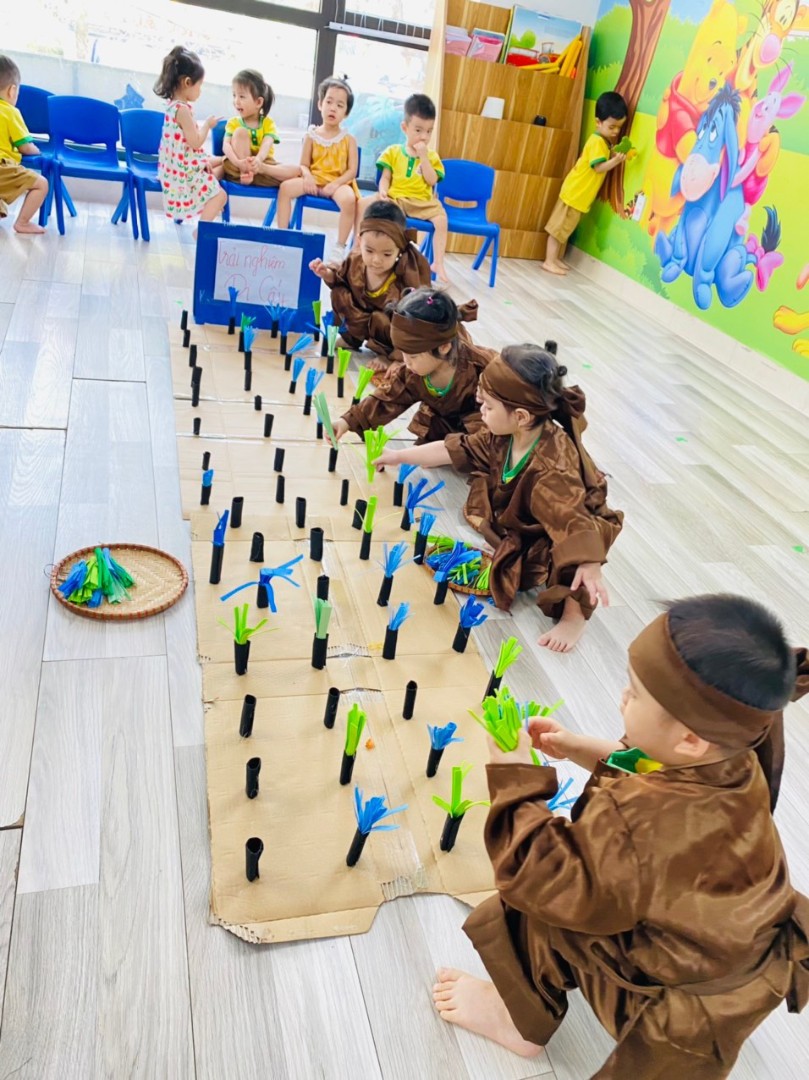 Chương trình giáo dục