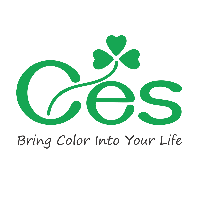 Tiếng Anh CES - Đằng Lâm