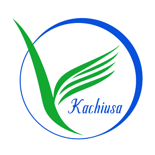 Ngoại Ngữ Kachiusa - Cổ Nhuế 1, Bắc Từ Liêm