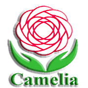 Anh ngữ Camelia - Mai Lâm