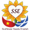 Trung tâm tiếng anh Sunflower - Sunflower Seeds English - Phú Quốc