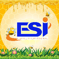 Anh Ngữ Quốc Tế ESI - Hùng Vương