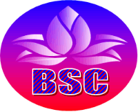 Ngoại Ngữ Bông Sen - Phường 2