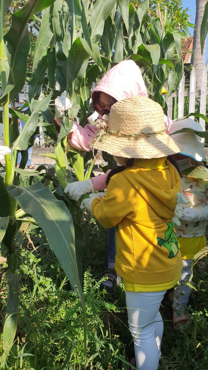 Slide f839f50d-4239-435d-abb0-8dc47e07bc8e