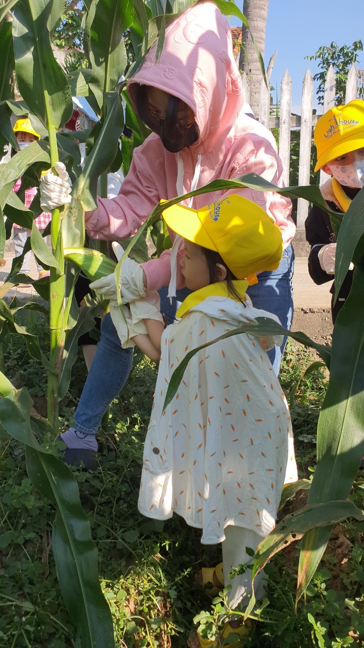 Slide 70433f5e-217b-4baa-9f9c-429f96615061