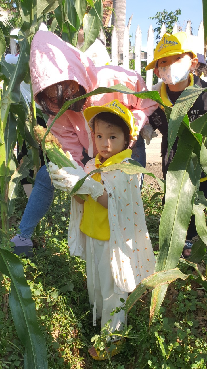 Slide 3bfe2713-8bf9-488c-b657-dc8c0722e8be