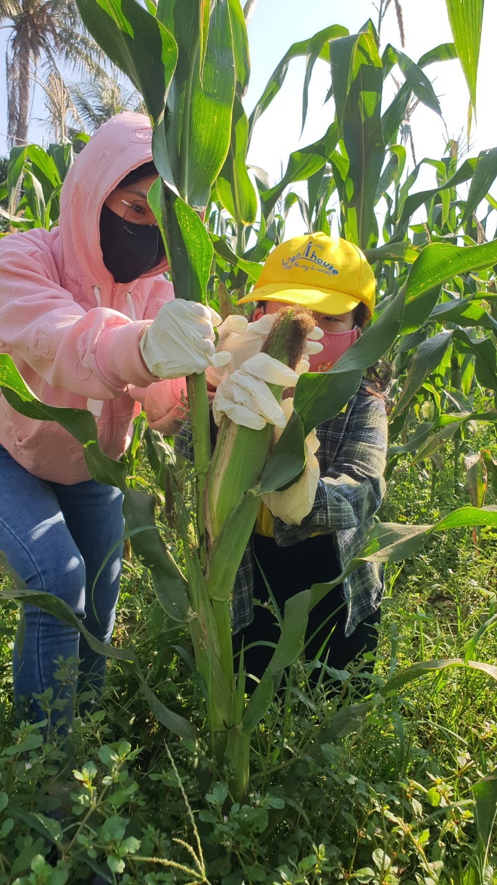 Slide 911ecd29-6021-4908-ae61-28d27ebdadae