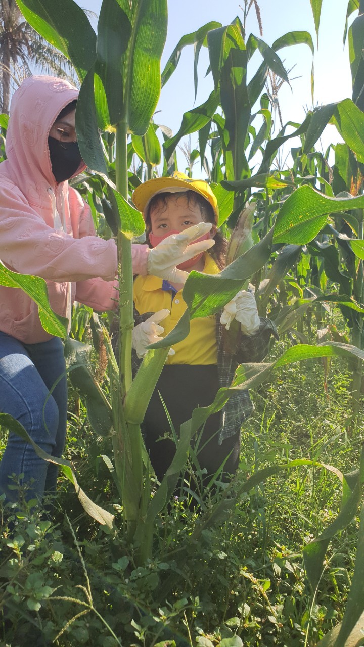 Slide fdbb4239-b6e1-4299-a6f7-188c607c59e5