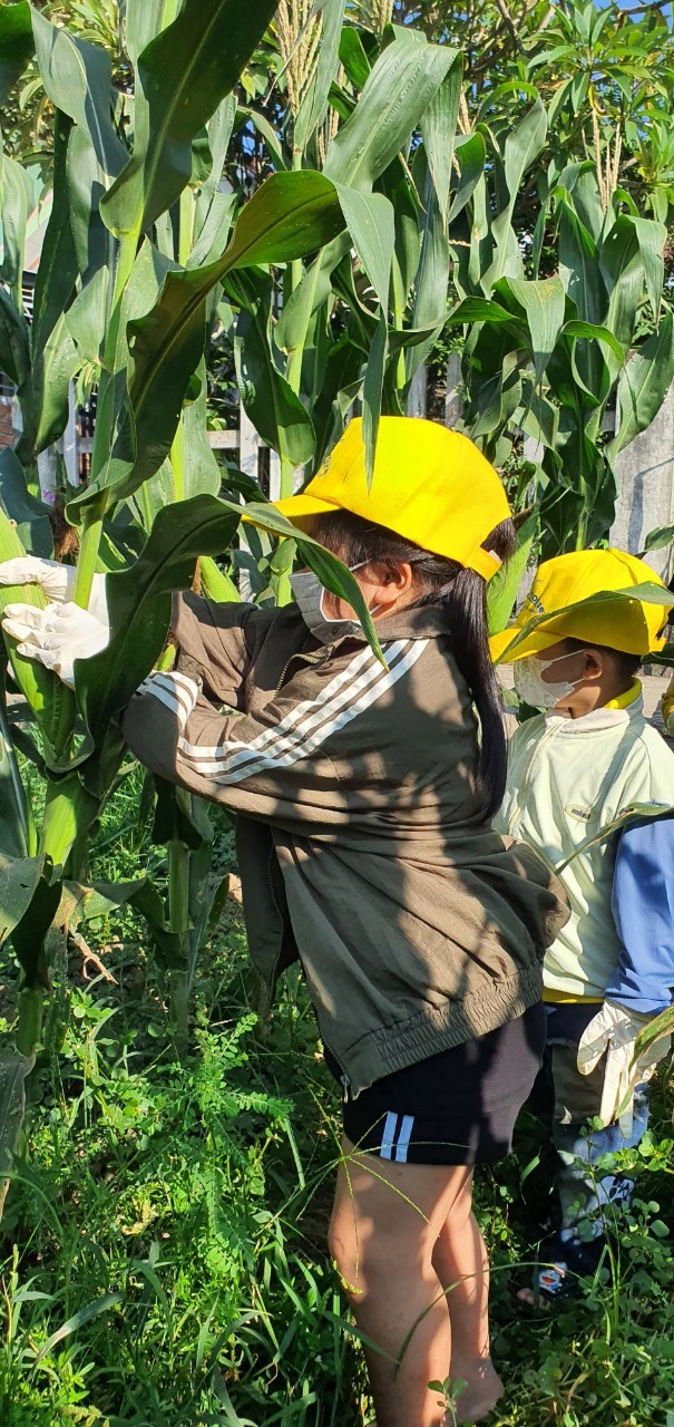 Slide 7b49171e-8ef5-4058-997c-8ea013da2da8