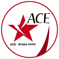 Ngoại Ngữ ACE - Hải An