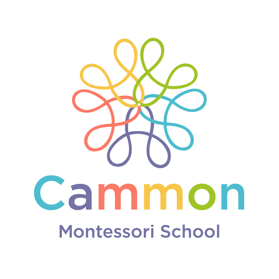 Trường mầm non Cammon Montessori (Hoa Trà My Group) - Phạm Tuấn Tài, Cầu Giấy