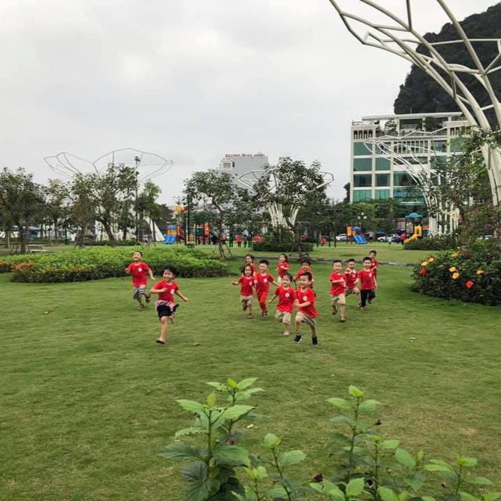 Trường mầm non Hoa Trạng Nguyên - Hạ Long