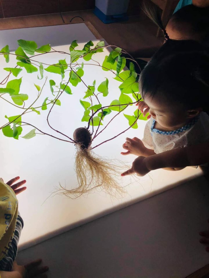 Slide 0d7327cc-9a14-4c2c-984e-f30b8c1b0cbd