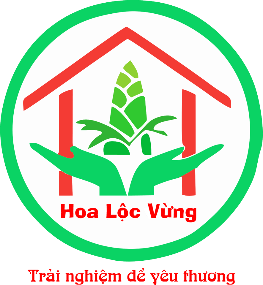 Trường mầm non Hoa Lộc Vừng - Xuân Tảo