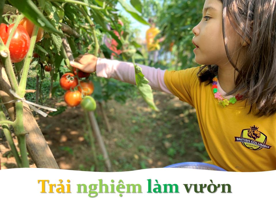 Slide ca5a067a-3132-4b21-bfa0-13660a5c61b2