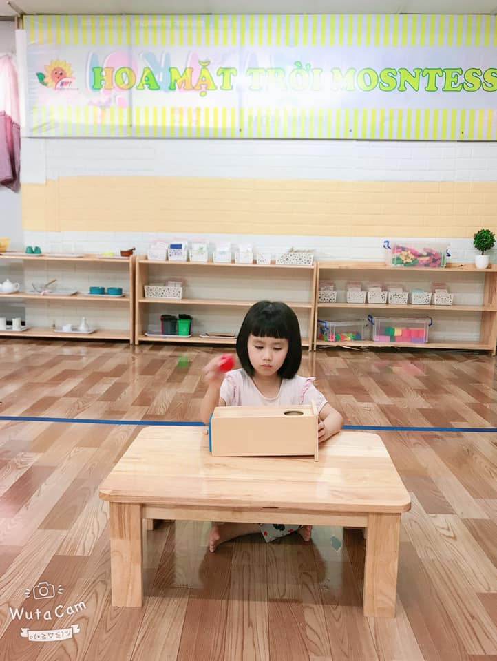 Chương trình giáo dục