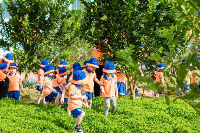 Trường Mầm Non STAR ACADEMY - Trần Phú