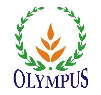 Mầm Non Olympus- Yết Kiêu